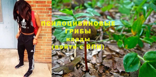 тгк Новокубанск