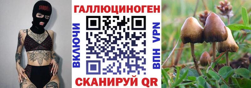 Купить где Иркутск Галлюциногенные грибы прущие грибы